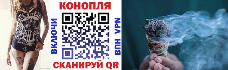 МЕТАДОН Плёс