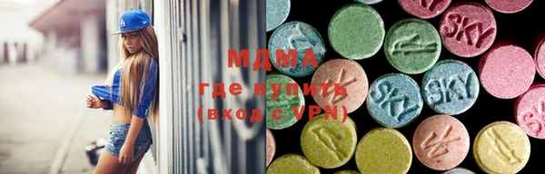 дмт Гусев