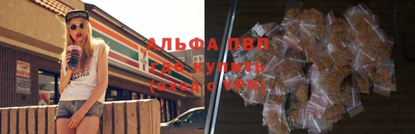 дмт Гусев