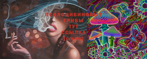 стафф Гусиноозёрск