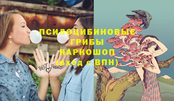 дмт Гусев