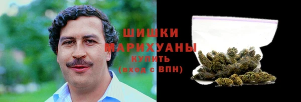дмт Гусев