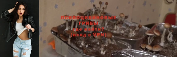 дмт Гусев