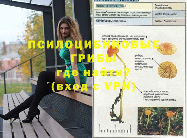 не бодяженный Михайлов